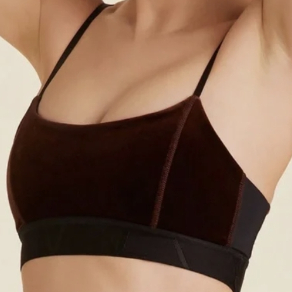 Alala Brown Velvet Sports Bra Strappy